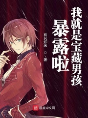 赵长河洛七最新免费阅读